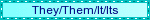 Xe/Xem/Xir/Xemself